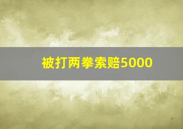 被打两拳索赔5000