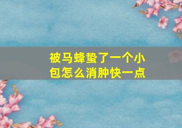 被马蜂蛰了一个小包怎么消肿快一点