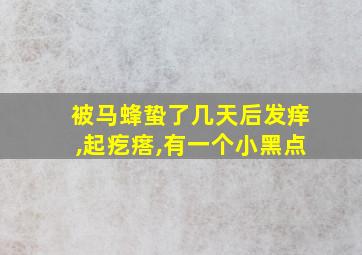 被马蜂蛰了几天后发痒,起疙瘩,有一个小黑点