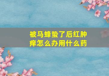 被马蜂蛰了后红肿痒怎么办用什么药