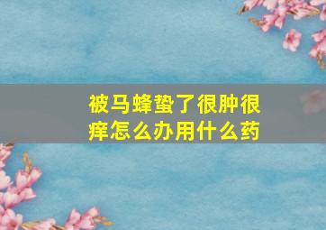 被马蜂蛰了很肿很痒怎么办用什么药