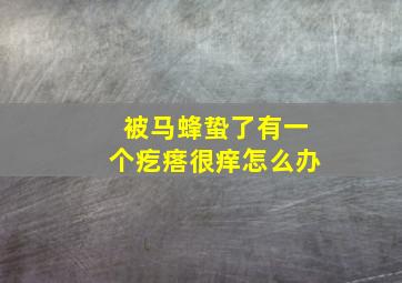 被马蜂蛰了有一个疙瘩很痒怎么办