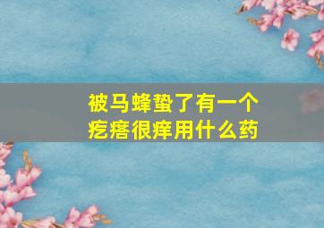 被马蜂蛰了有一个疙瘩很痒用什么药