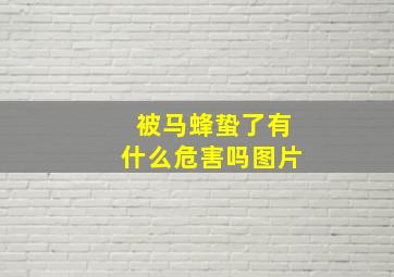 被马蜂蛰了有什么危害吗图片