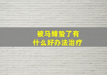 被马蜂蛰了有什么好办法治疗