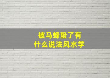 被马蜂蛰了有什么说法风水学