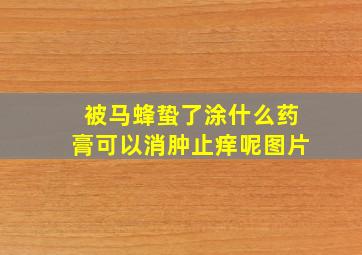 被马蜂蛰了涂什么药膏可以消肿止痒呢图片