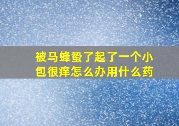 被马蜂蛰了起了一个小包很痒怎么办用什么药