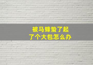 被马蜂蛰了起了个大包怎么办