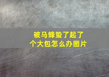 被马蜂蛰了起了个大包怎么办图片