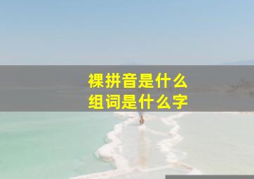 裸拼音是什么组词是什么字