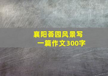 襄阳荟园风景写一篇作文300字