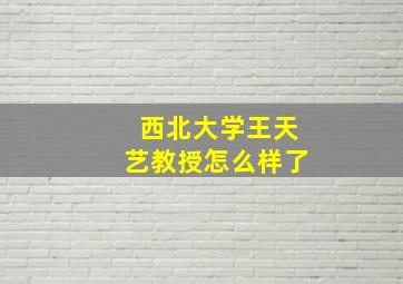 西北大学王天艺教授怎么样了