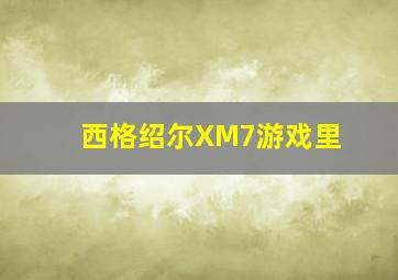 西格绍尔XM7游戏里