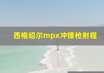 西格绍尔mpx冲锋枪射程