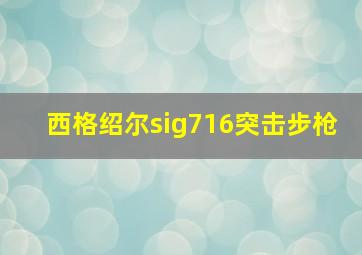 西格绍尔sig716突击步枪