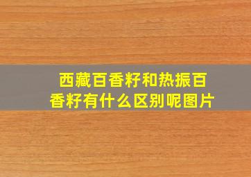 西藏百香籽和热振百香籽有什么区别呢图片