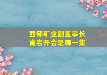 西部矿业副董事长青岩开会是哪一集