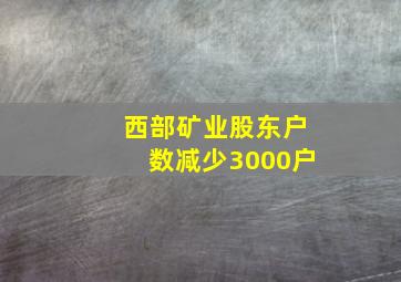 西部矿业股东户数减少3000户