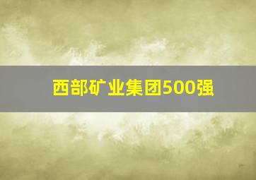 西部矿业集团500强