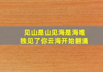 见山是山见海是海唯独见了你云海开始翻涌