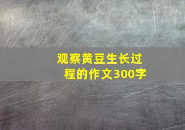 观察黄豆生长过程的作文300字