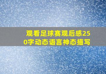 观看足球赛观后感250字动态语言神态描写