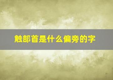 触部首是什么偏旁的字