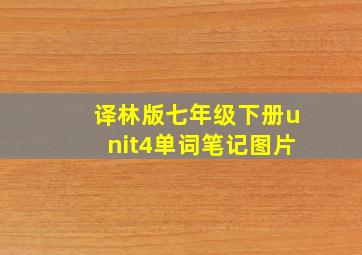 译林版七年级下册unit4单词笔记图片