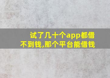 试了几十个app都借不到钱,那个平台能借钱