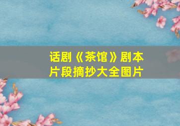 话剧《茶馆》剧本片段摘抄大全图片