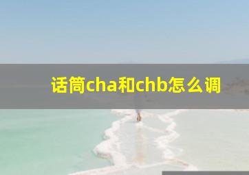 话筒cha和chb怎么调