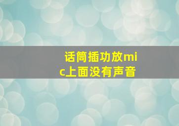 话筒插功放mic上面没有声音