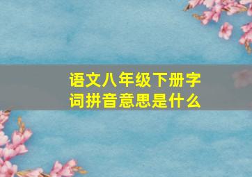 语文八年级下册字词拼音意思是什么