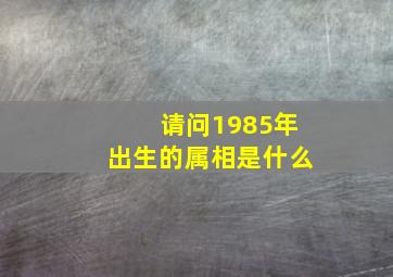 请问1985年出生的属相是什么