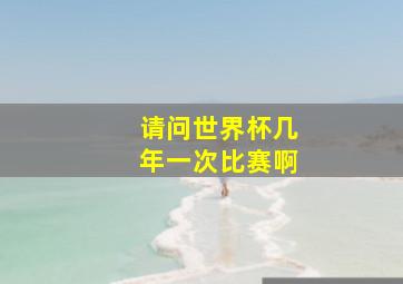 请问世界杯几年一次比赛啊