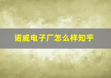 诺威电子厂怎么样知乎