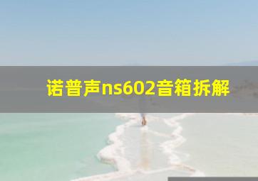 诺普声ns602音箱拆解