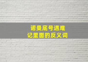 诺曼底号遇难记里面的反义词