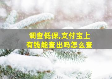 调查低保,支付宝上有钱能查出吗怎么查