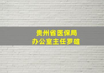 贵州省医保局办公室主任罗雄