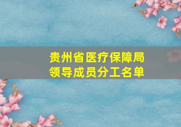 贵州省医疗保障局领导成员分工名单