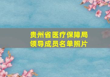 贵州省医疗保障局领导成员名单照片