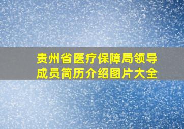 贵州省医疗保障局领导成员简历介绍图片大全