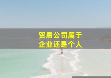 贸易公司属于企业还是个人