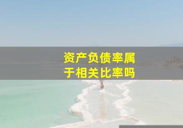 资产负债率属于相关比率吗