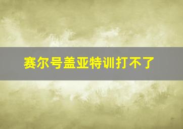 赛尔号盖亚特训打不了