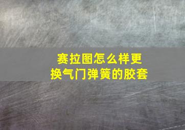 赛拉图怎么样更换气门弹簧的胶套