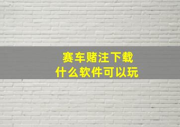 赛车赌注下载什么软件可以玩