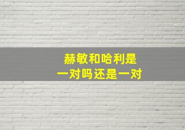 赫敏和哈利是一对吗还是一对